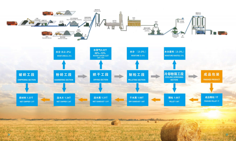 海星体育直播宣传册_13 - 副本.png